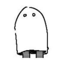 smallghost
